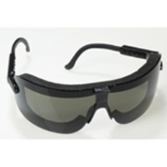 AOSafety F9603 Gogglegear Black Frame